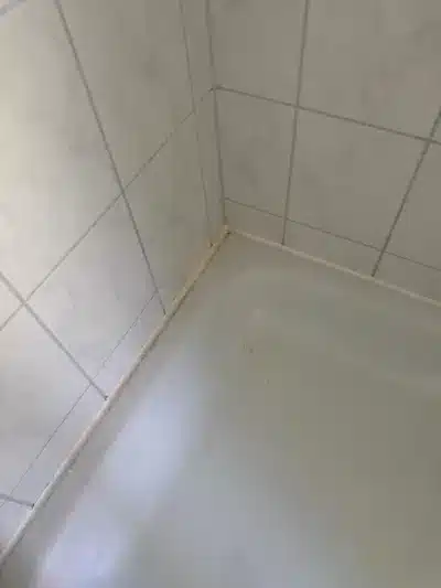 Gemütliche 2-Zimmer-Wohnung in der historischen Curie-Siedlung - Badezimmer (817)