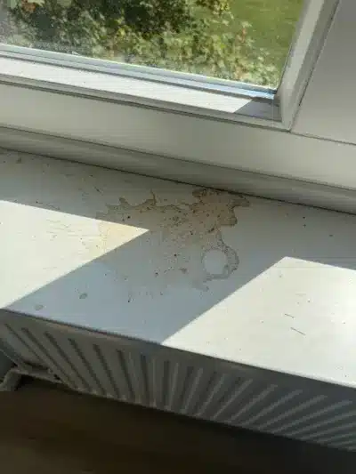 Gemütliche 2-Zimmer-Wohnung in der historischen Curie-Siedlung - Fensterbank (820)