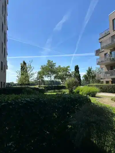 Lichtdurchflutete Wohnung mit Terrasse an der Weser - Blick Terrasse (233)