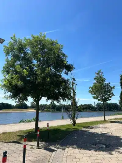 Lichtdurchflutete Wohnung mit Terrasse an der Weser - Seeufer (224)